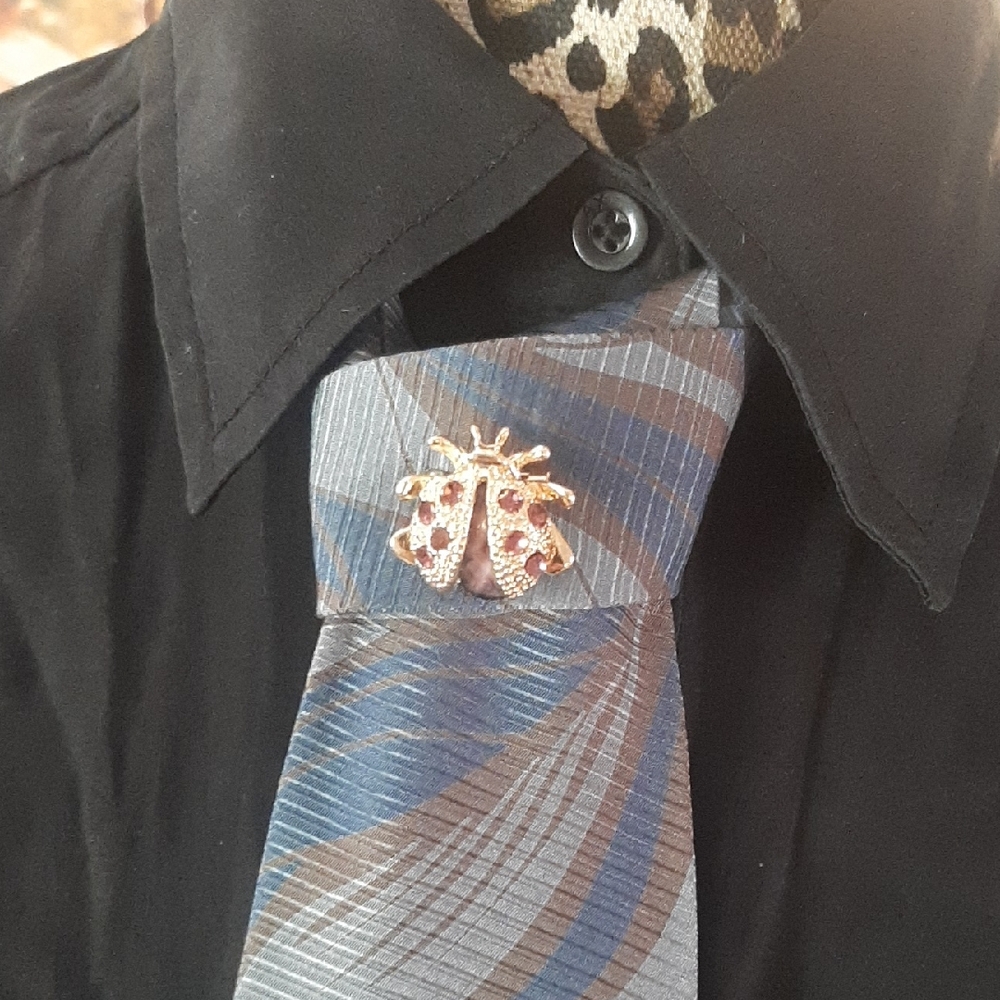 Elegant Gray and Blue Silk Tie with Ladybug Pin